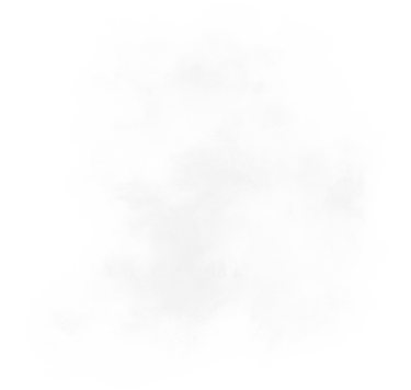 Nebel 1